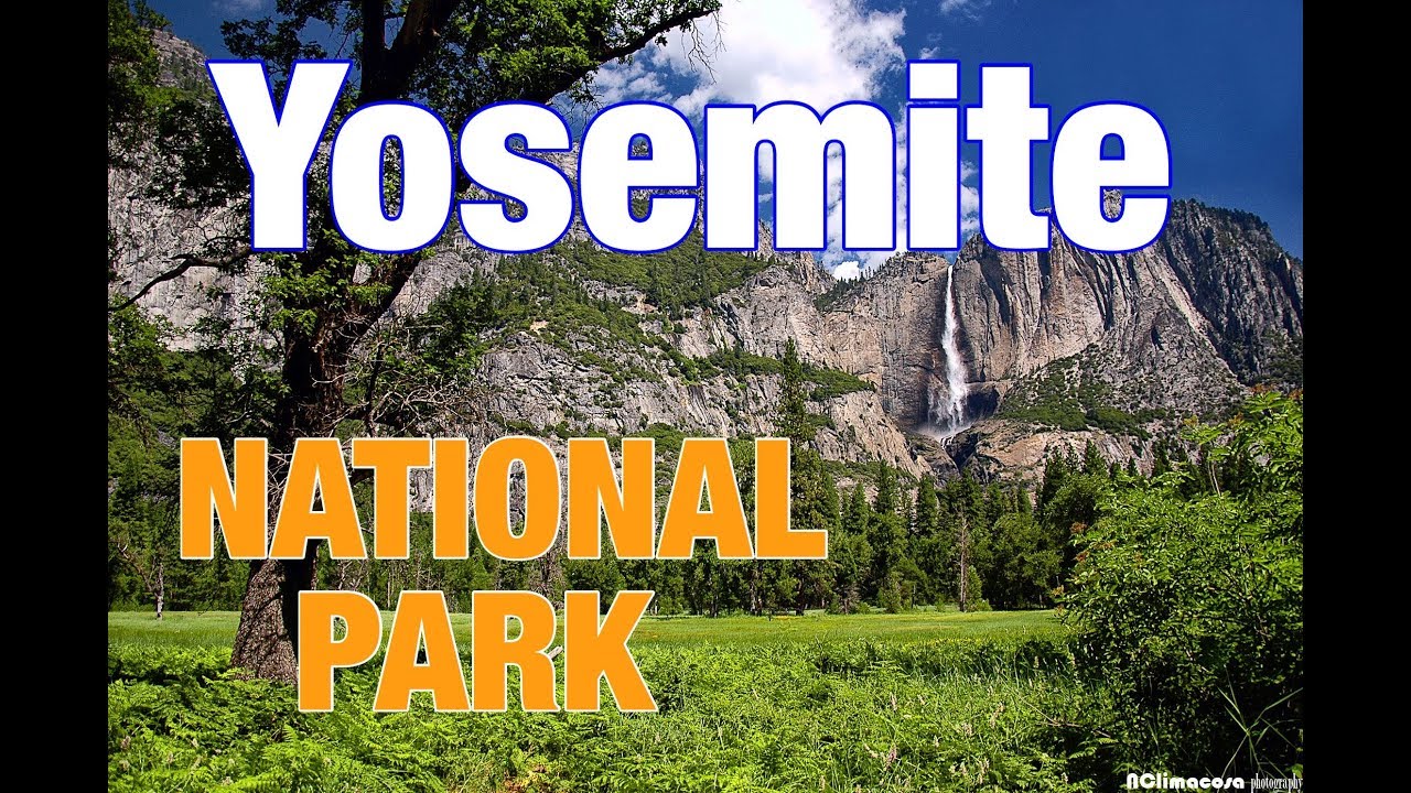 Yosemite National Park | California,USA