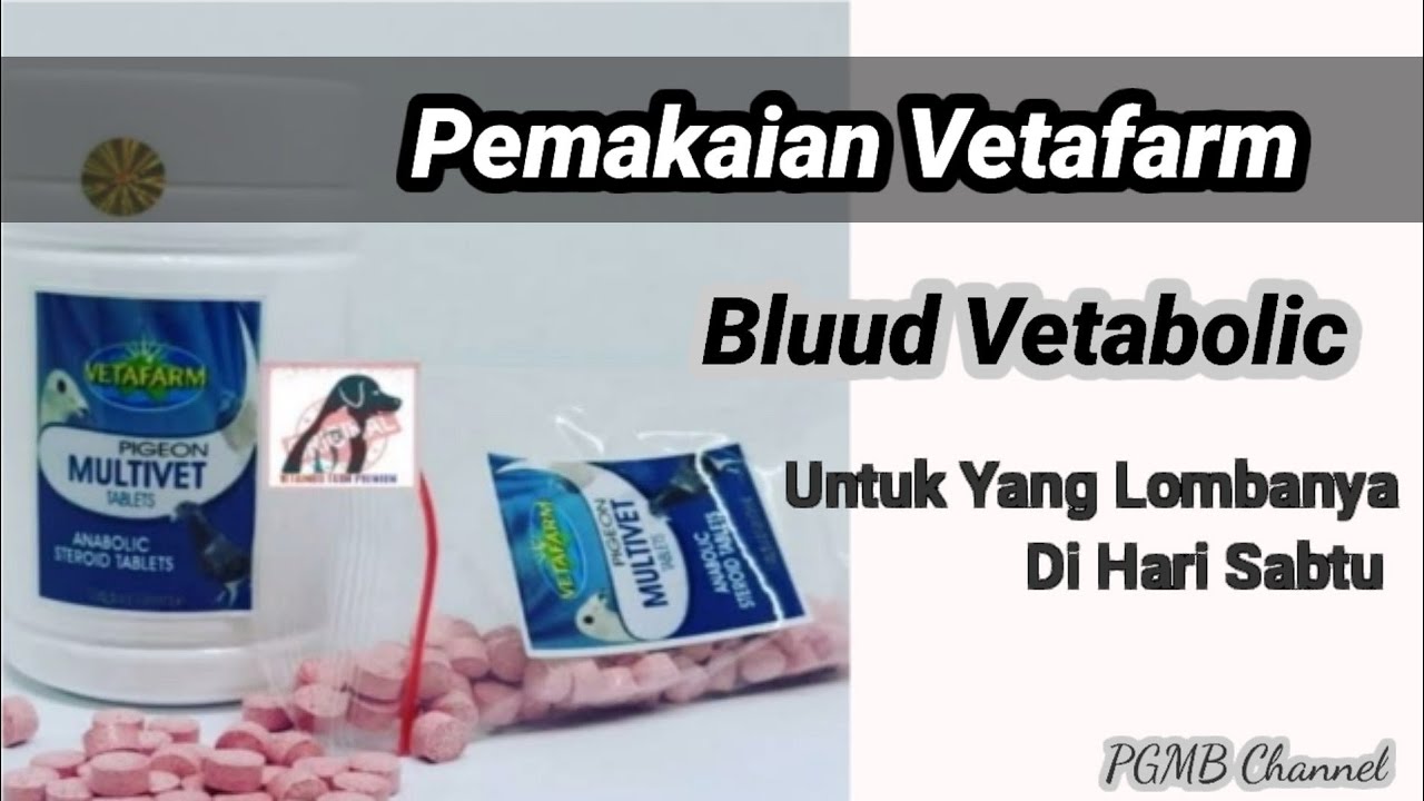 HOW TO USE VETAFARM (BLUUD AND VETABOLIC) FOR THOSE COMPETING ON SATURDAY