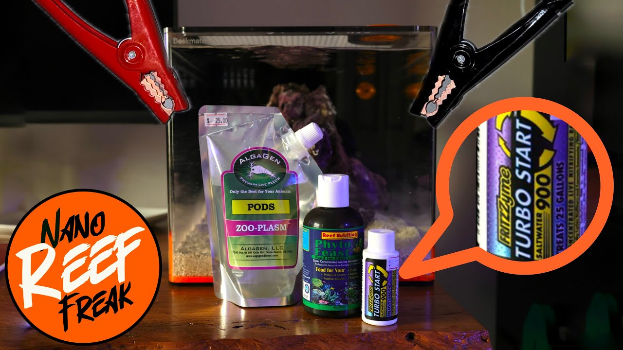 Jumpstart Your Reef Tank! - Setup Your First Reef Tank Part 2