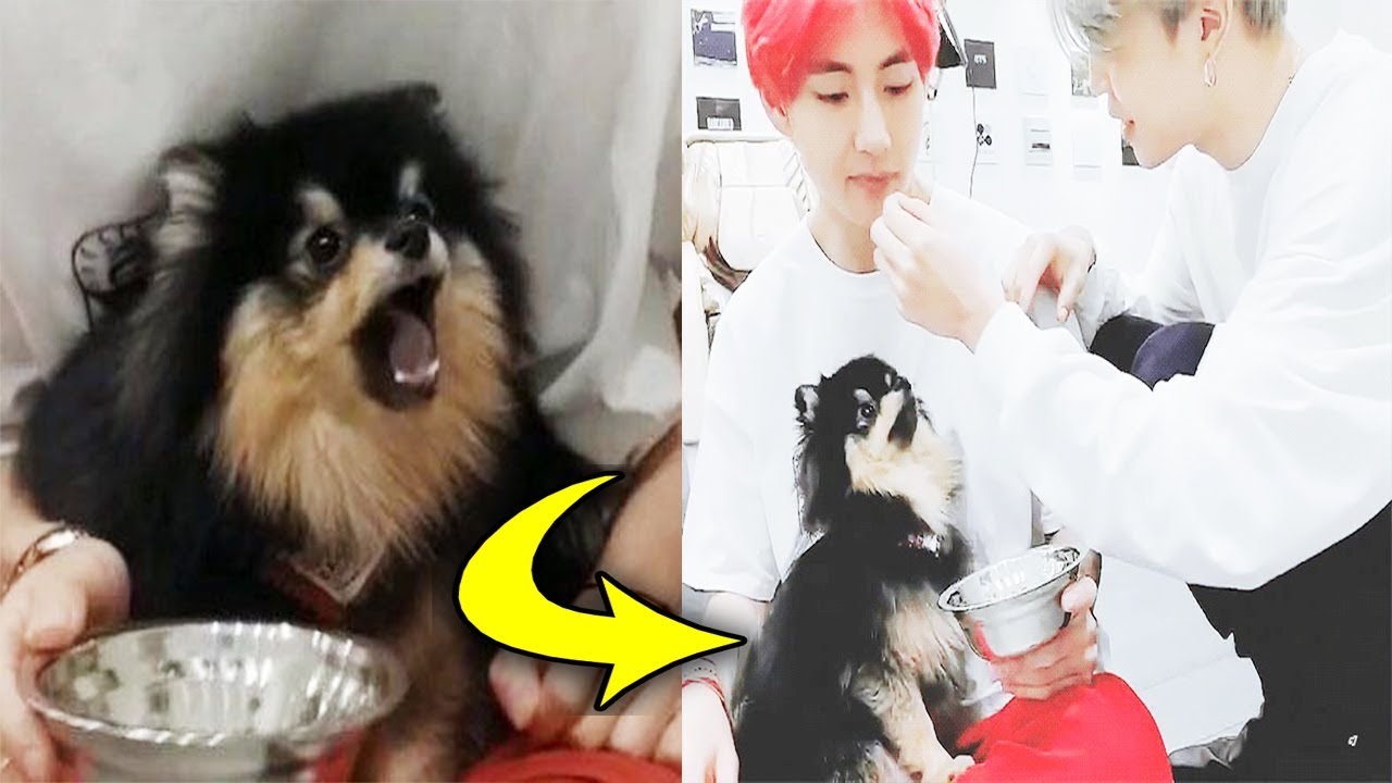 BTS BEING SOFT FOR YEONTAN