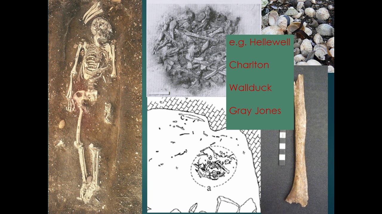 The Mesolithic Body: Articulating Science and Theory