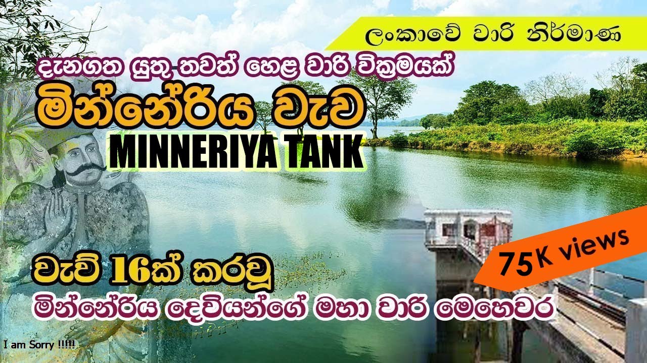 මින්නේරිය වැව/ Minneriya Wewa/ Minneriya tank in Pollonaruwa/ minneriya wewa gana thorathuru