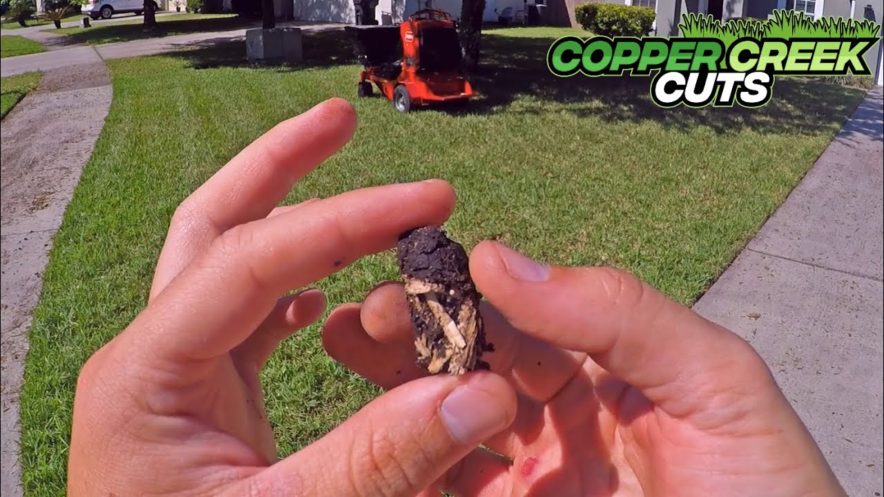 What is Aerating? (Lawn Aeration How To DIY)