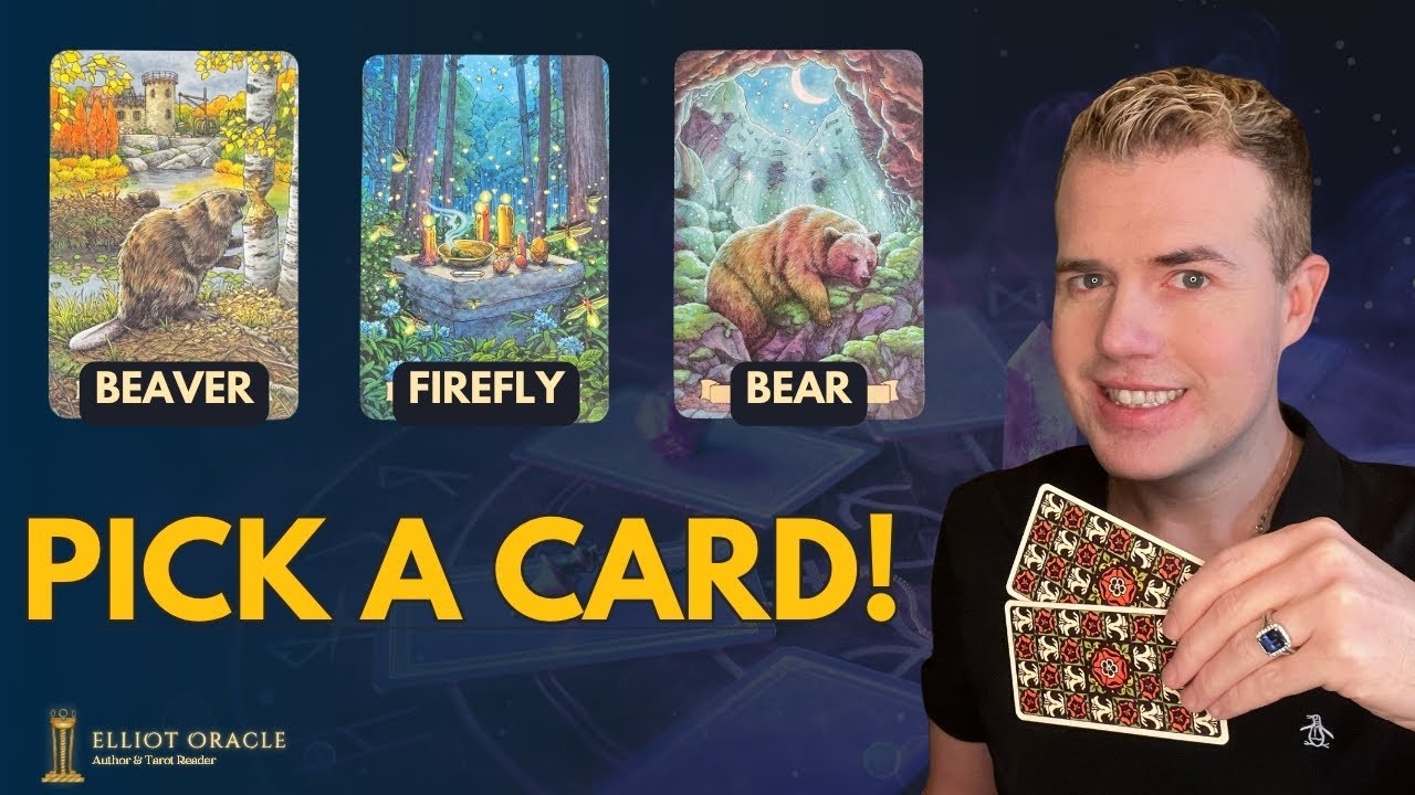 Tarot Pick a Card Reading 🦫 🪫 🐻   @ElliotOracle