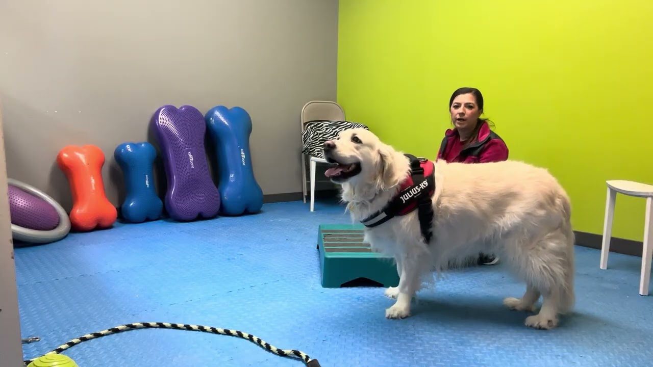 Levi conditioning