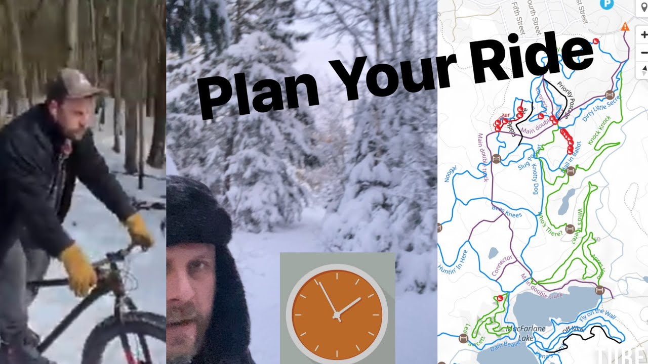 Choose Your Path: A 360° Journey Through the Frozen Woods ❄️🔄