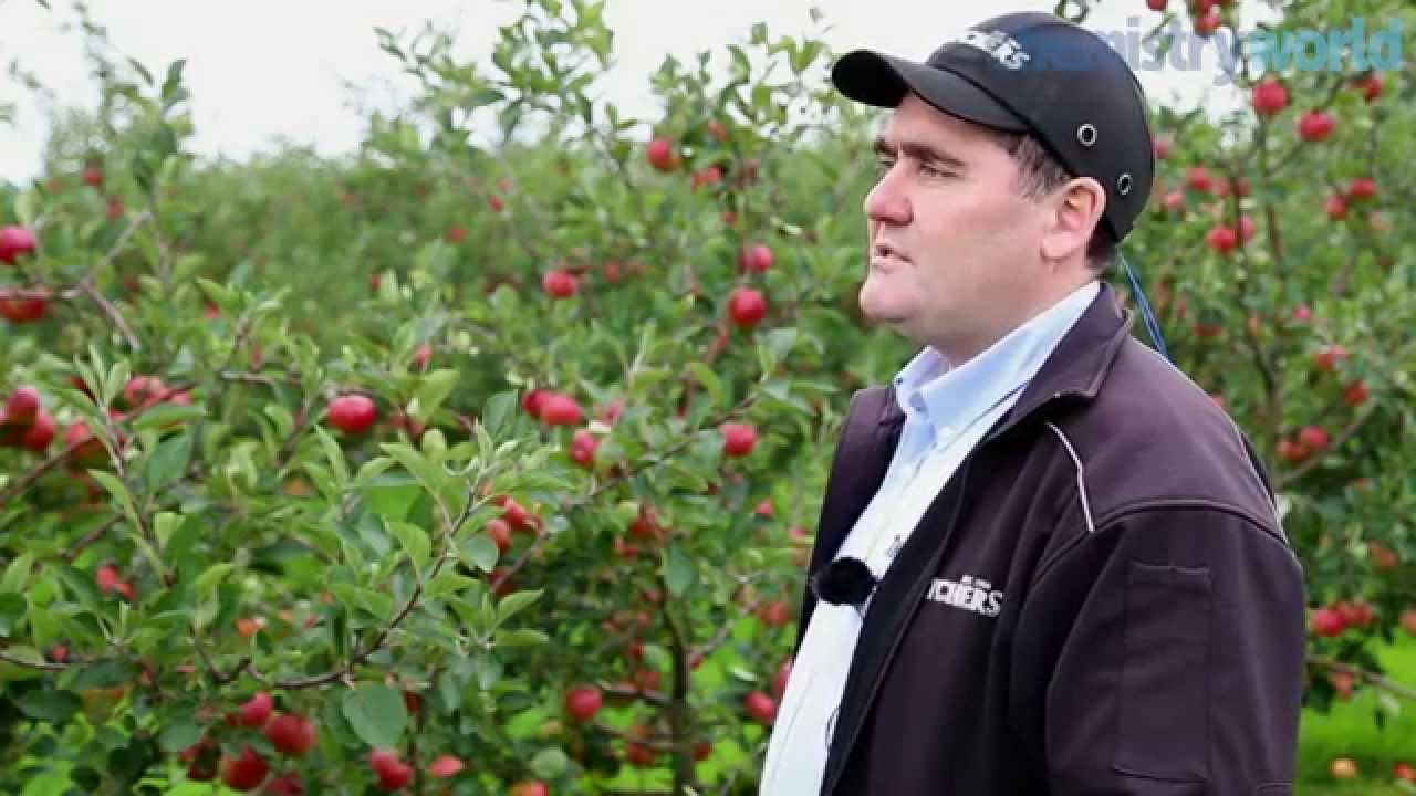 Fermenting ideas - the chemistry of cider