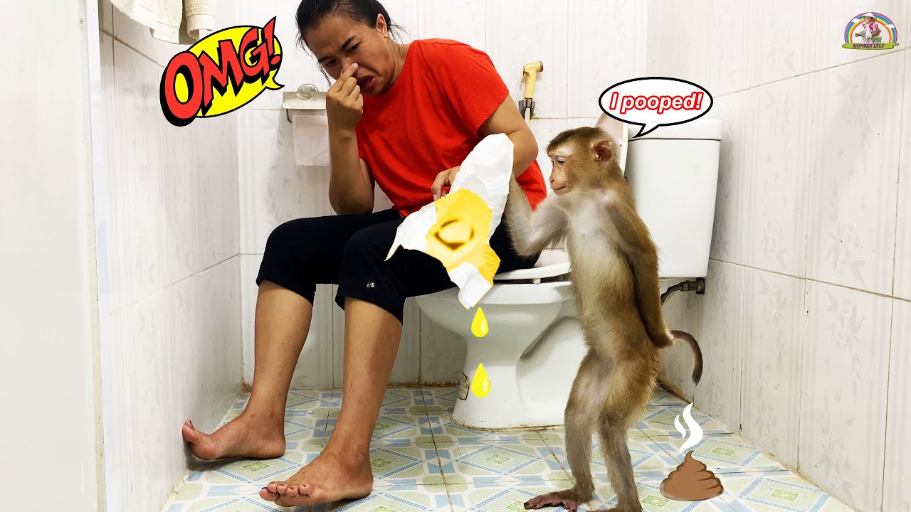 OMG...! Monkey Lyly pooped but couldn't go to the bathroom for some reason...
