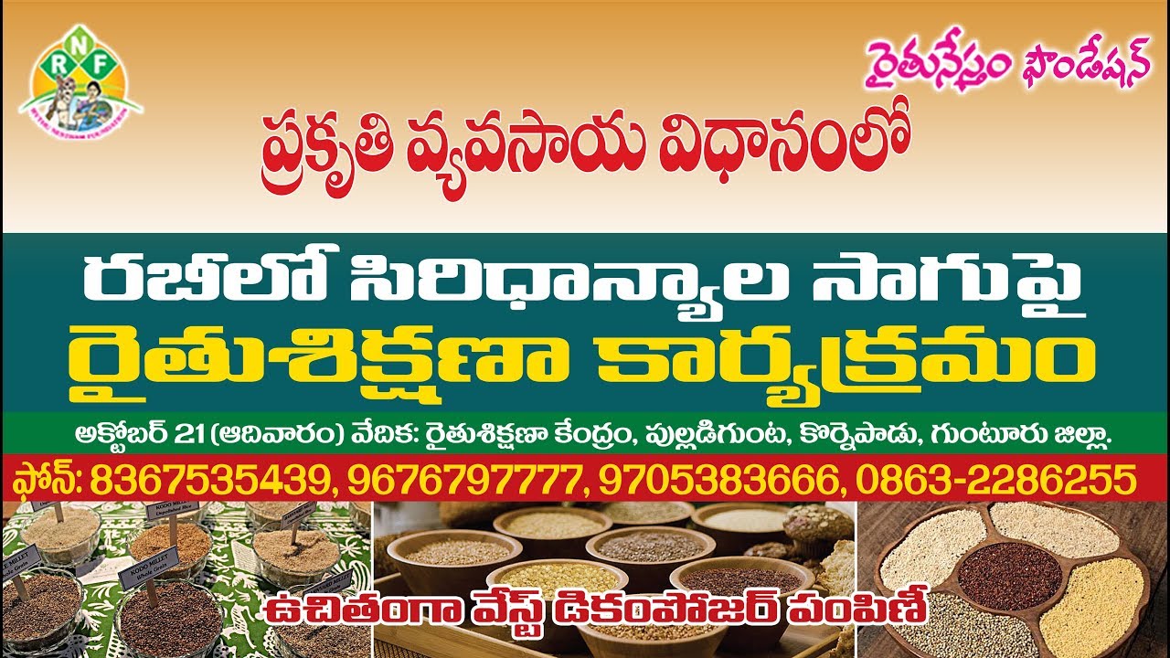 Training on Millets Cultivation in Rabi Through Natural Farming Methods || Rythunestham Foundation