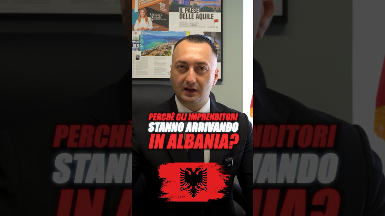 #fareimpresa #albania #imprenditore #tasse #avvocato #business #leggi