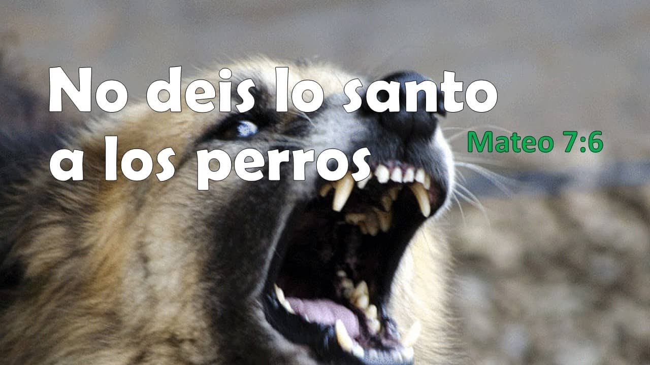 No deis lo santo a los perros - Mateo 7:6