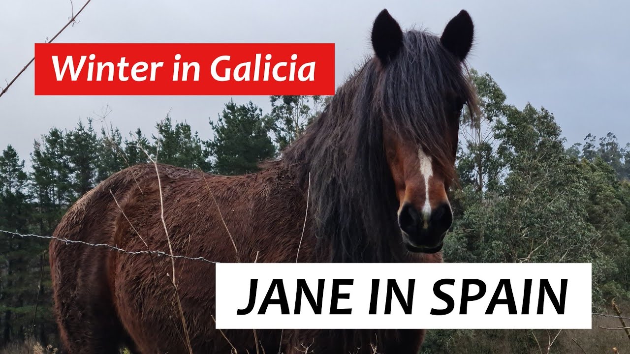 Winter in Galicia