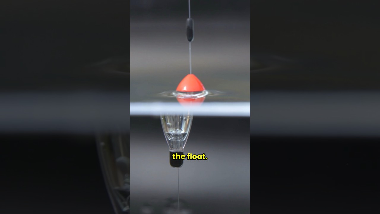 This is why a Crystal Jigger works so well! #drennan #fishing