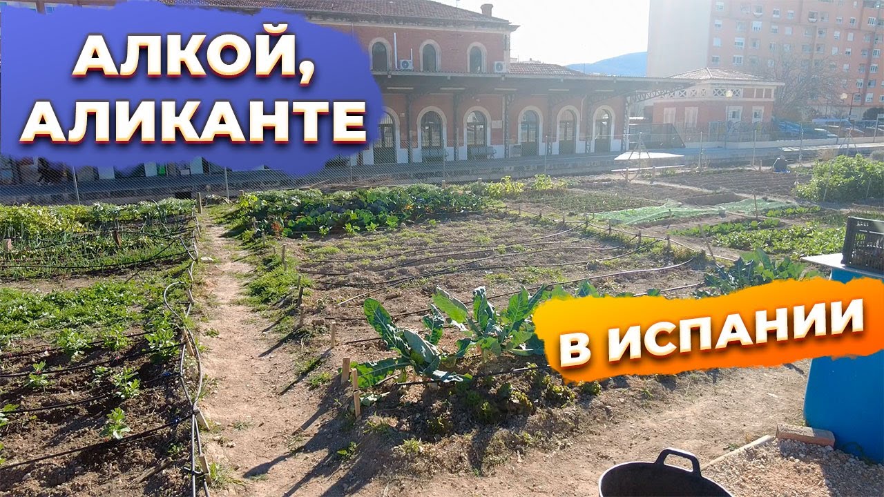 🔴Город Алкой &mdash; стоит ли покупать здесь жильё?