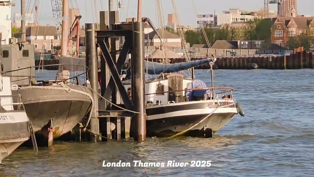 London Thames River Tower Bridge Shared HIGHLIGHTS 2025