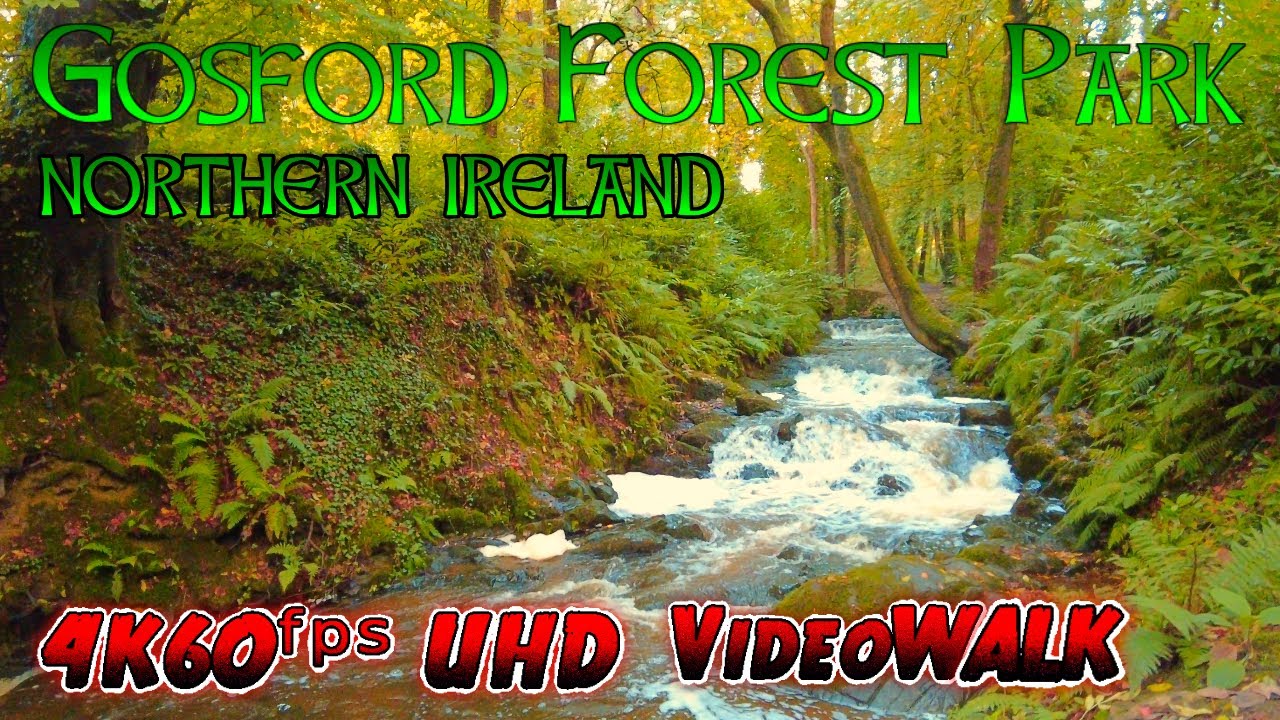 Walking in Gosford Forest Park / MAGIC NORTHERN IRELAND VideoWalk 4K60ᶠᵖˢ UHD🔴