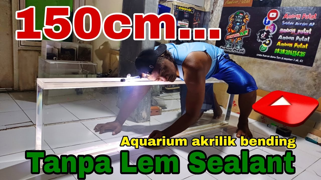 Membuat Aquarium Akrilik Bending 150x10x40 Konsep Tempel Dinding