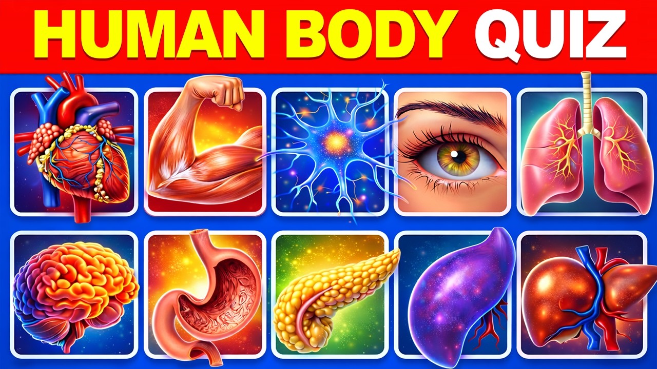 🧠💥🔥 Test Your Body Knowledge! Can You Answer All 50 Questions? 🤯⏳🎯 | 🔬📚 Science Quiz Challenge 🧪🦴