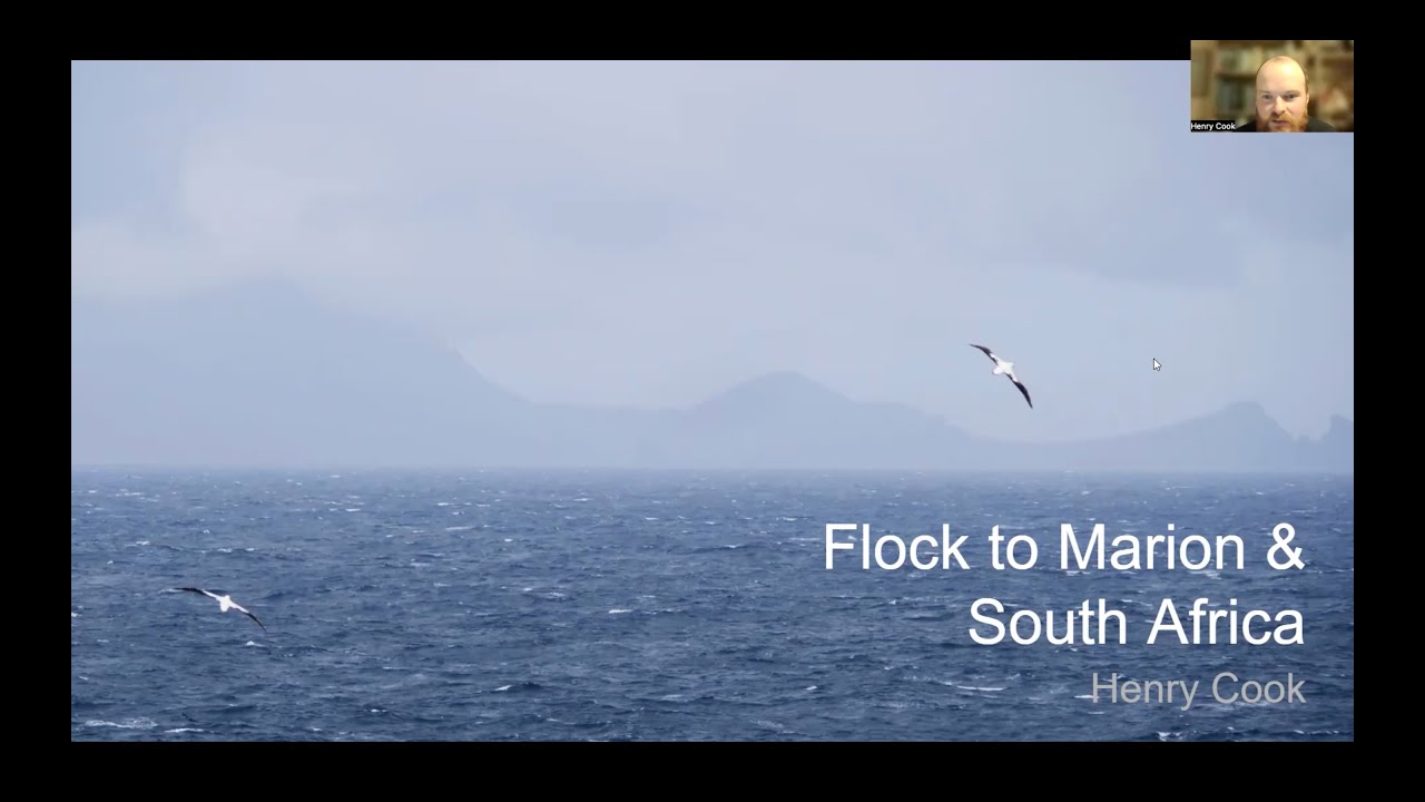 Marion Island and South Africa with Henry Cook