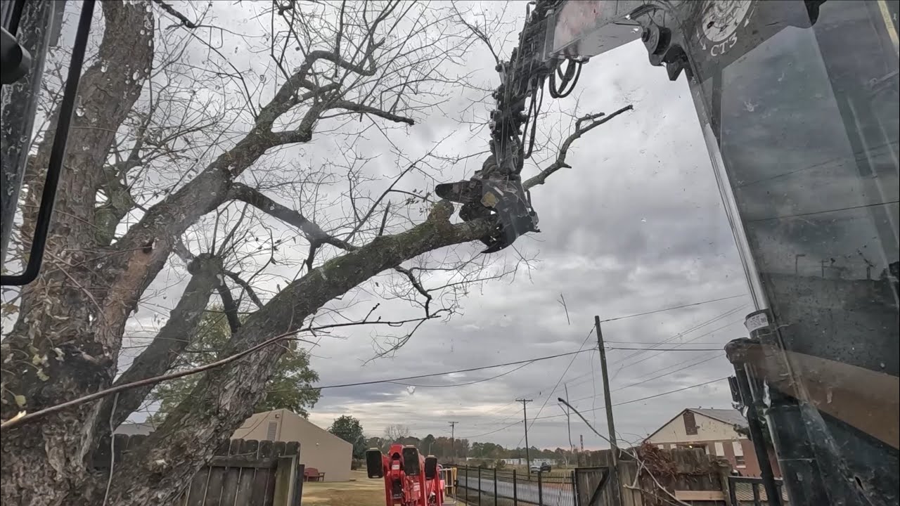 Rotobec Limb Reaper taking an entire tree apart
