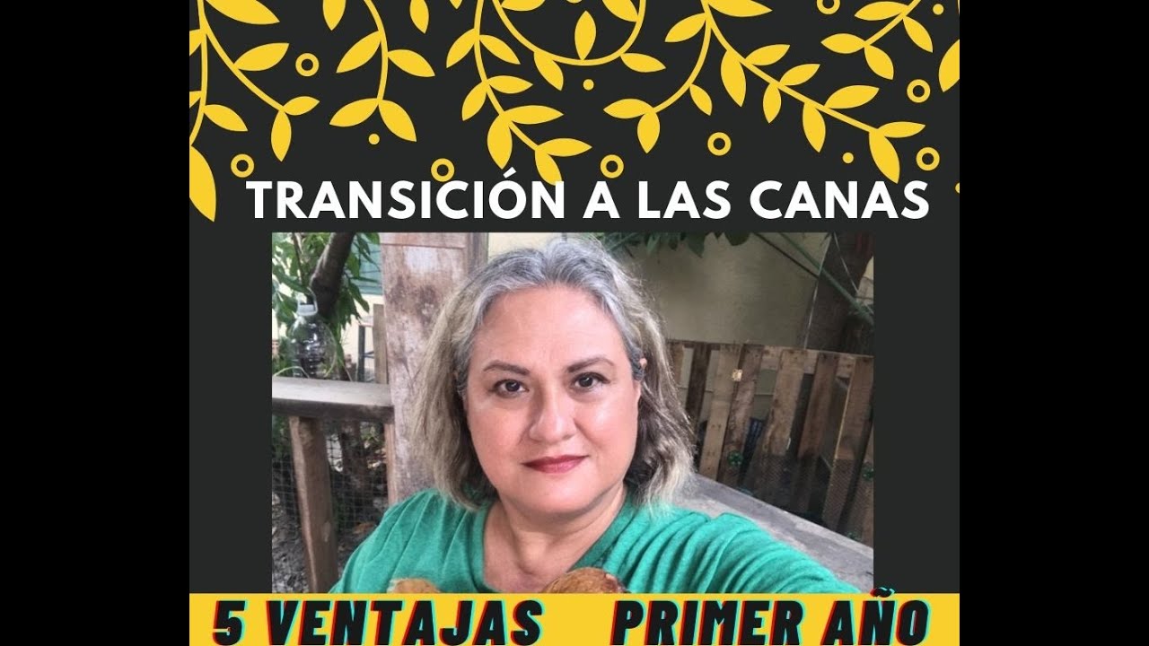 Transición a las canas 2 Primer año