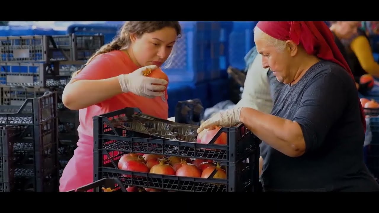 AGROS Warehouse   Product storage   Quality control of fruits and vegetables