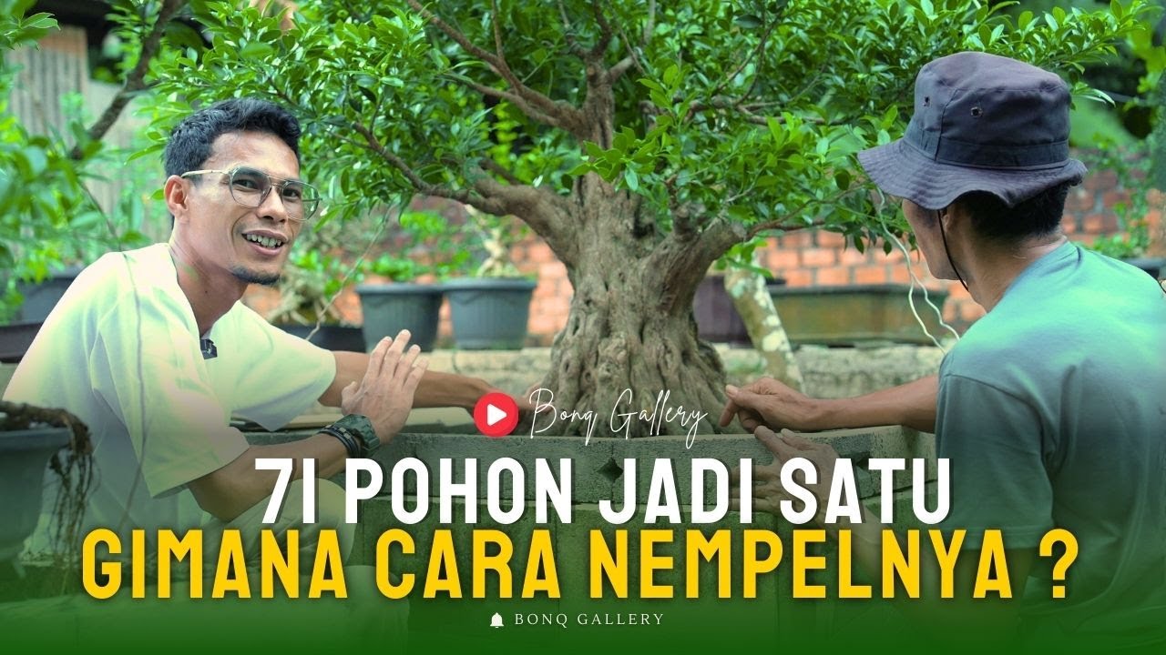 Rapi Banget! Susunan 71 Kimeng Ini Bikin Lupa Kalo Itu Tempelan