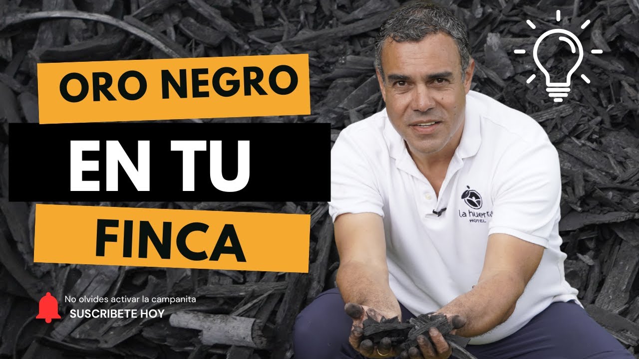 Convierte Residuos en Oro Negro para Tu Suelo (Google ya invierte en esto)