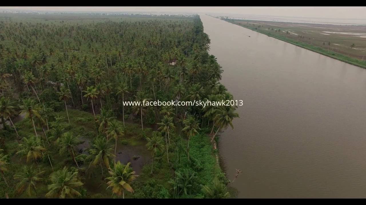 Aerial view of Kerala backwaters with lush green coconut plantations on the other side