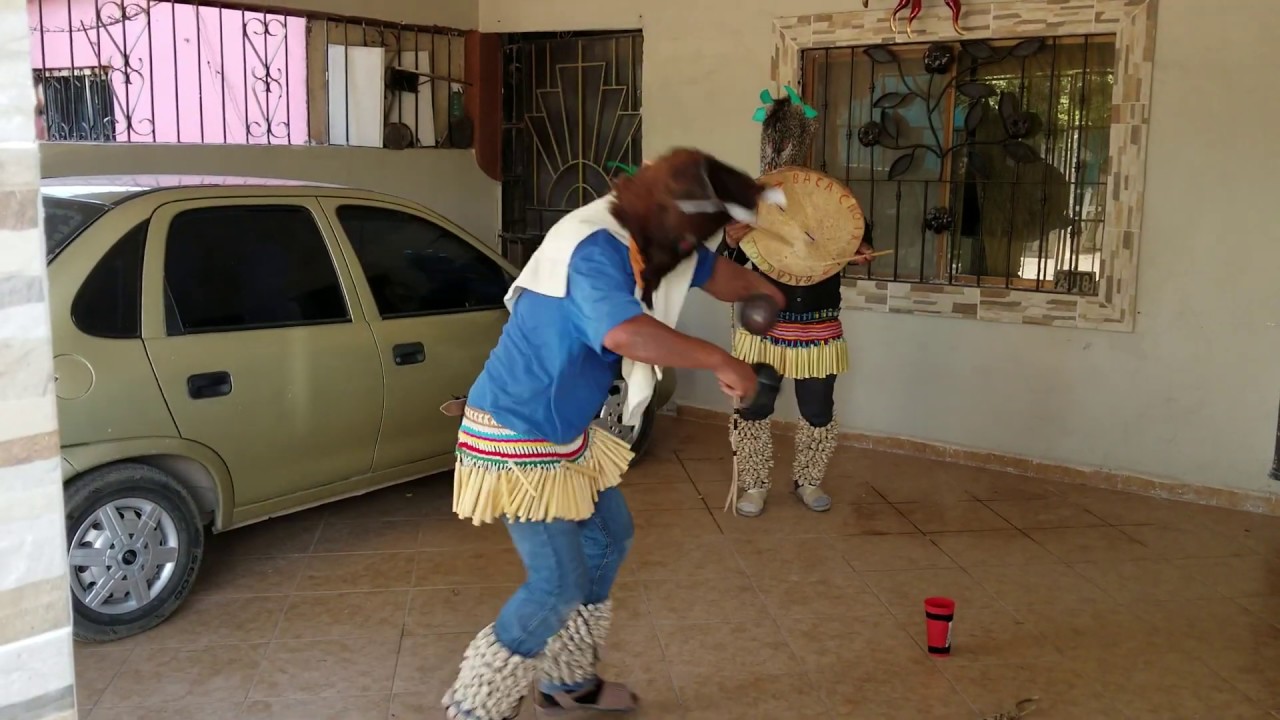 FARISEO DANZA VENADO (MAZO)