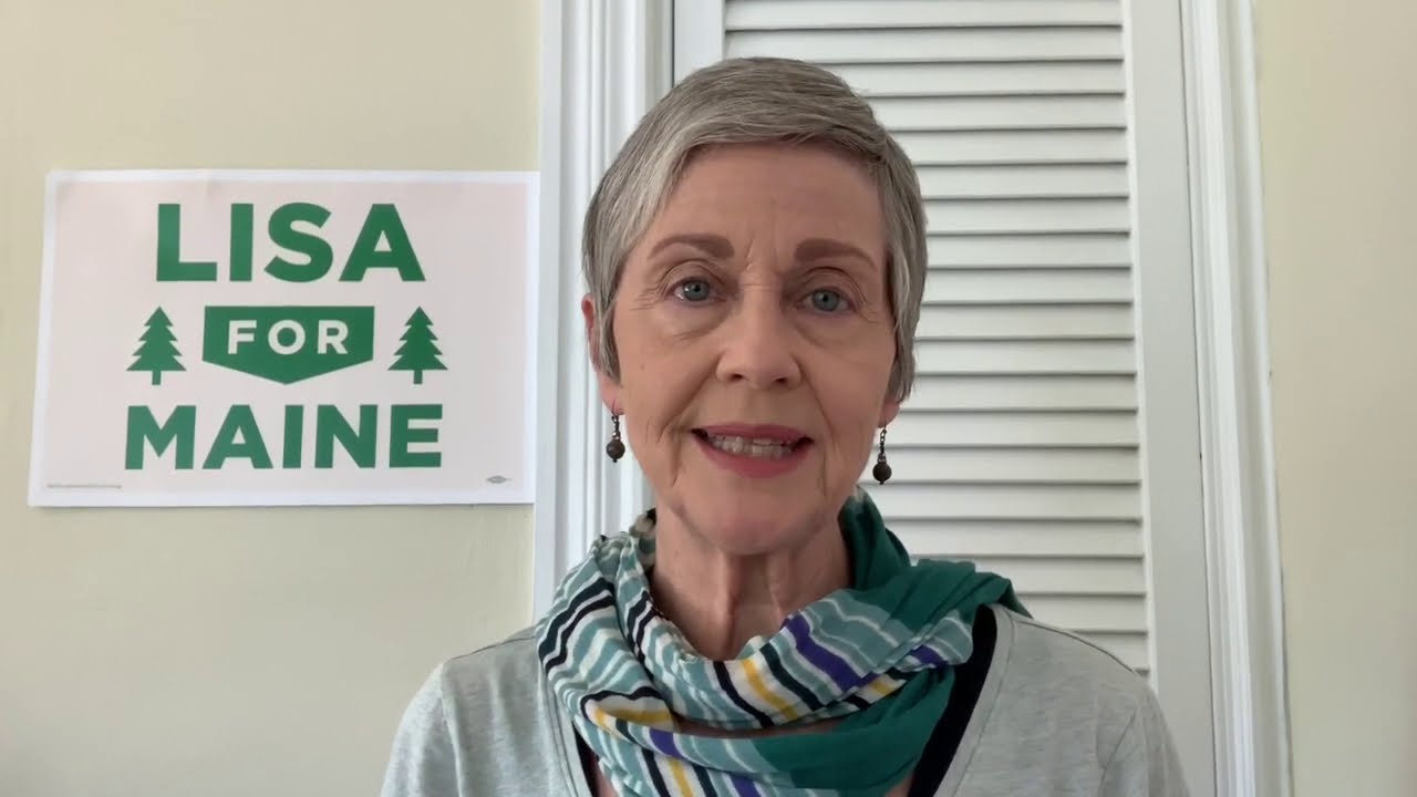 Lisa for Maine: You Are Not Alone - Fossil fuel subsidies
