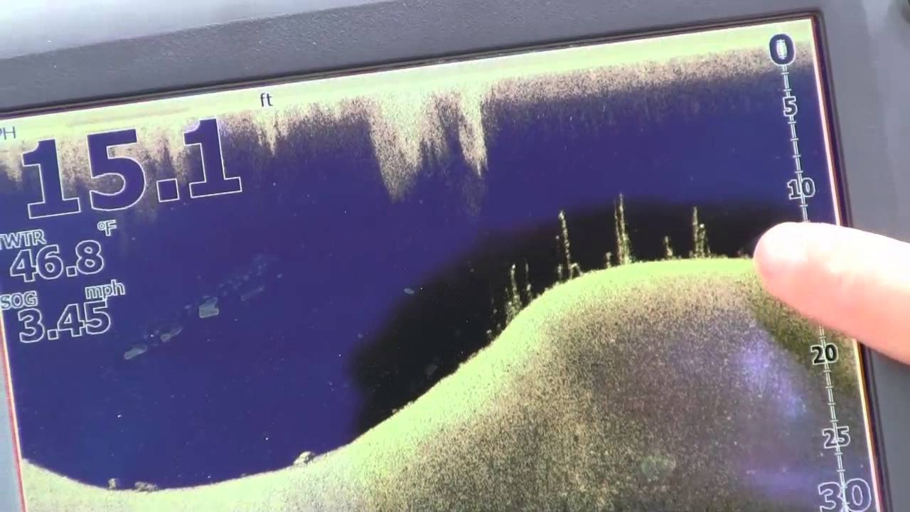 Интерпретация изображений DownScan Imaging&trade;