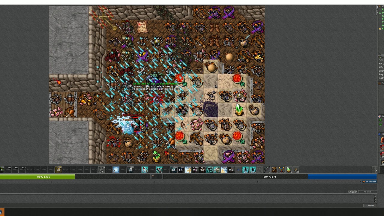 Hunt Paladin level 120+ Cult Carlin 1kk 150%, 2.5kk Double Xp