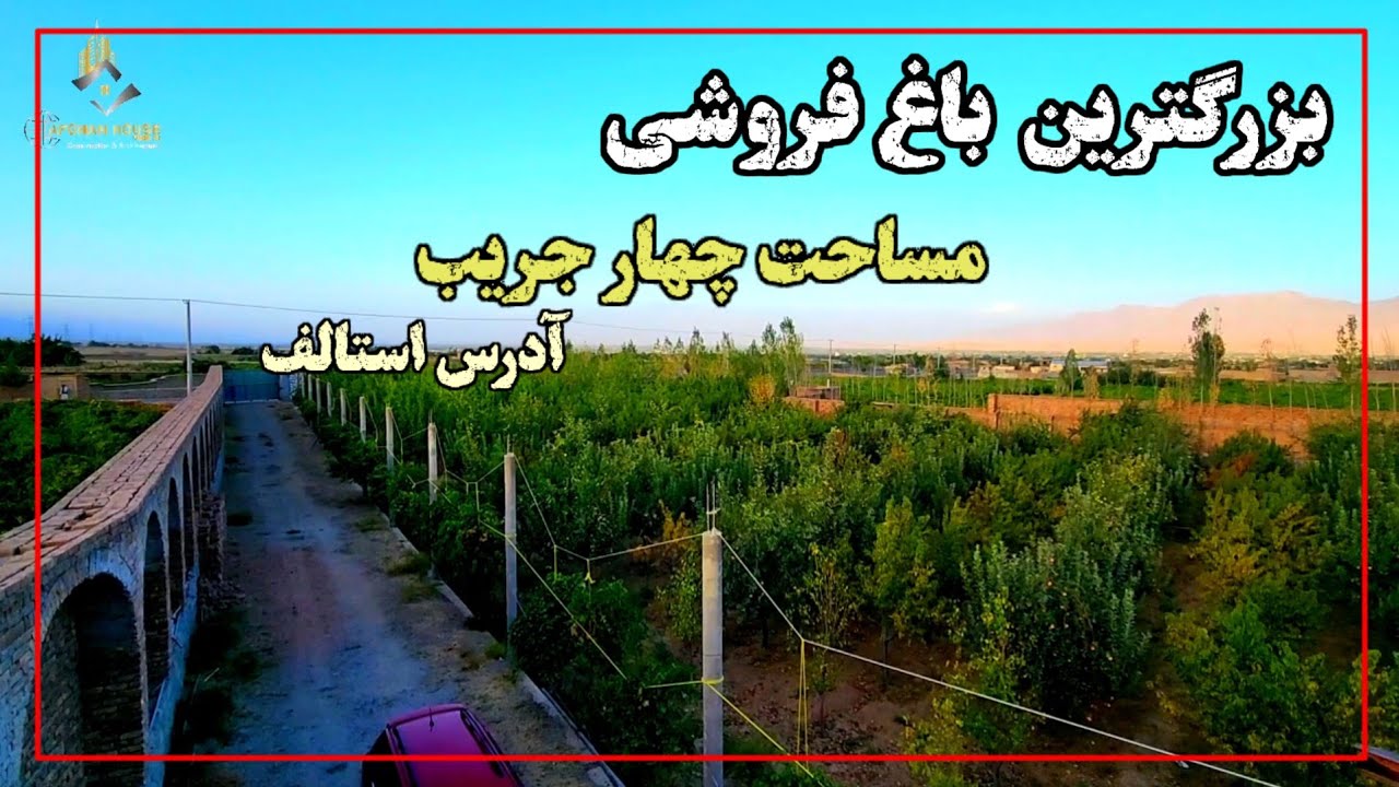 بزرگترین باغ داری اقسام میوه جات فروشی/آدرس استالف/قیمت خیلی ارزان...