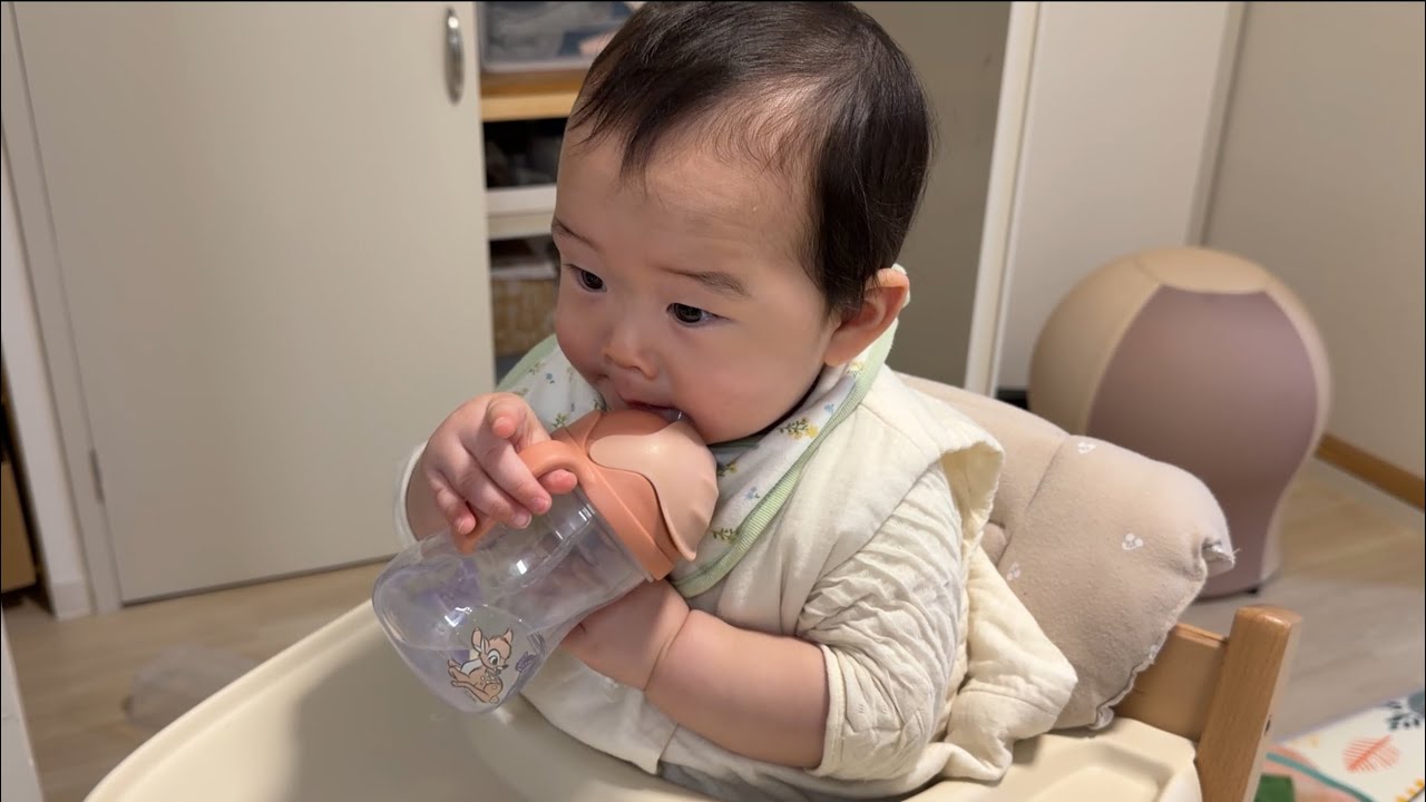 【赤ちゃんvlog｜8ヶ月】哺乳瓶ハムハム｜生後256日
