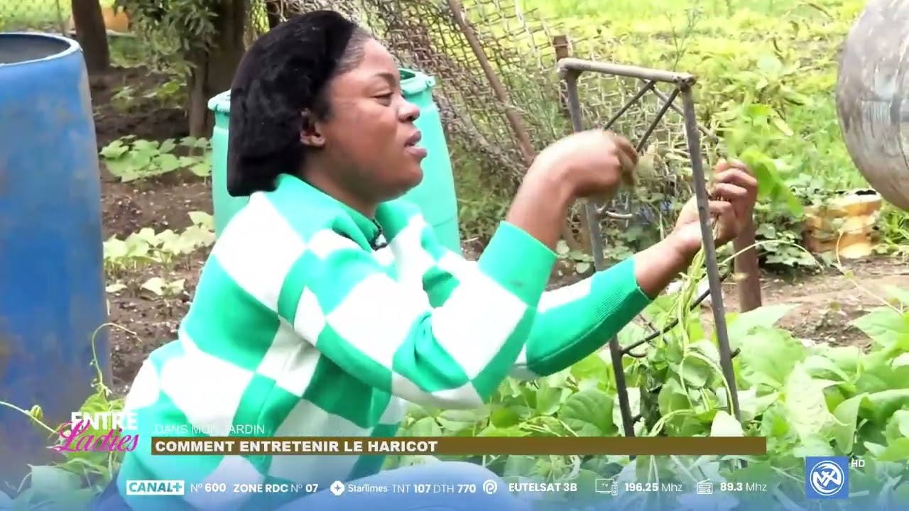 DansMonJardin | Entre Ladies | Comment bien s'occuper de ses haricots au jardin ?