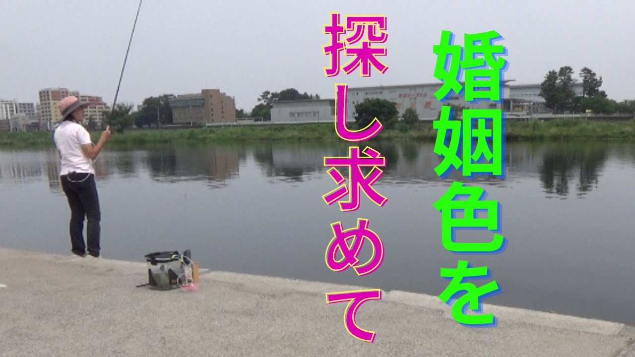 【小物釣り】感動！夢にまで見たオイカワの婚姻色を釣る日が来た！