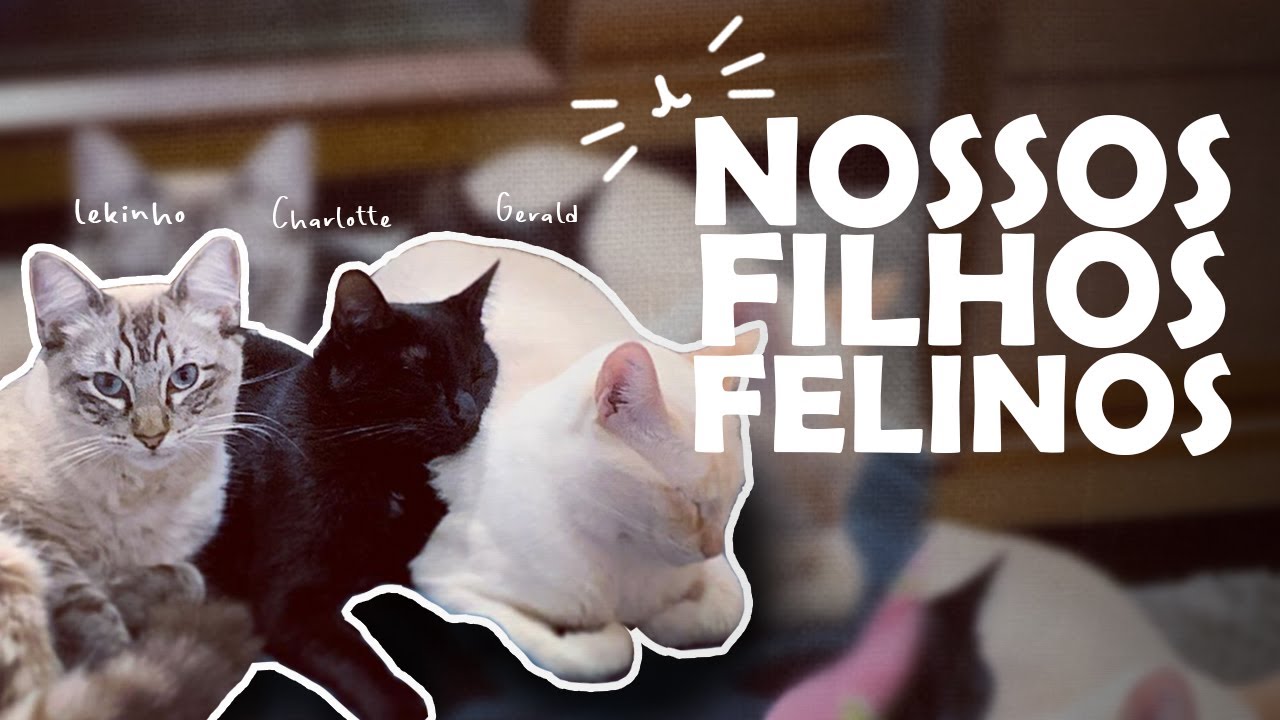 CONHEÇAM NOSSOS GATINHOS | CASAL20