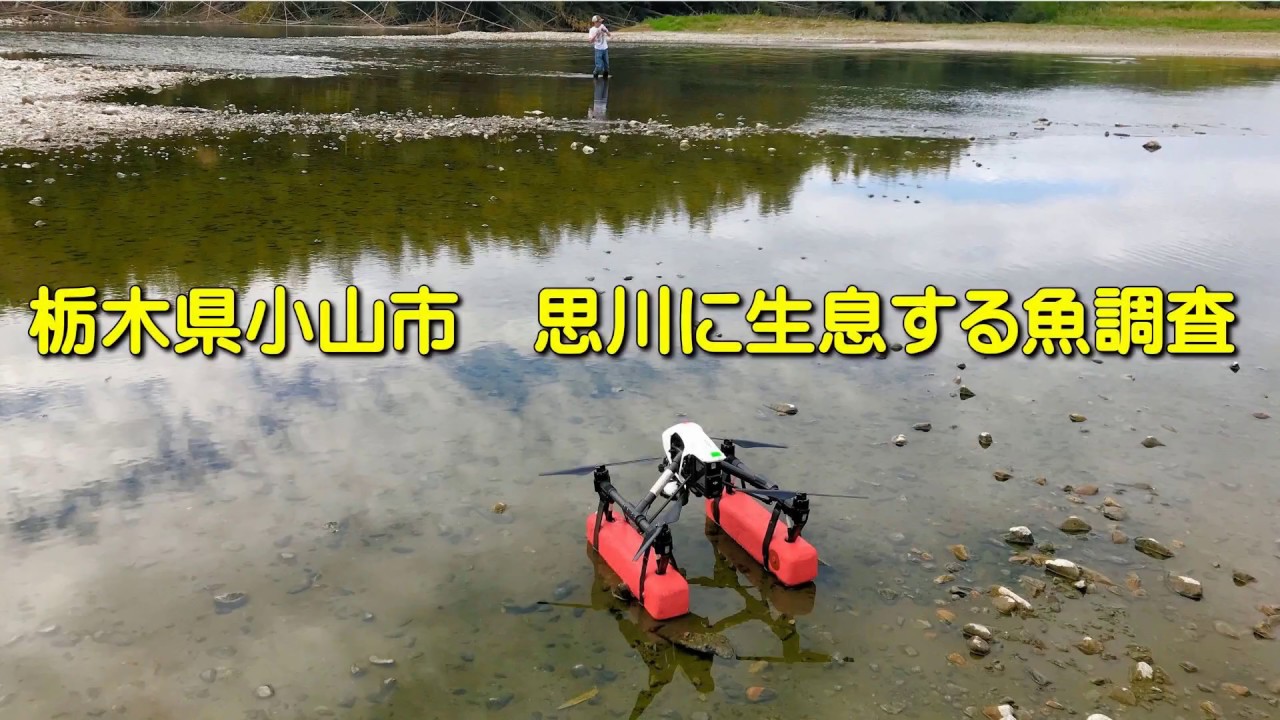 栃木県小山市　思川に生息する魚の調査