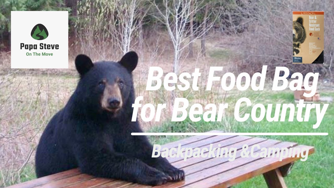 Best Food Bag for Bear Country - Ursack Allmitey