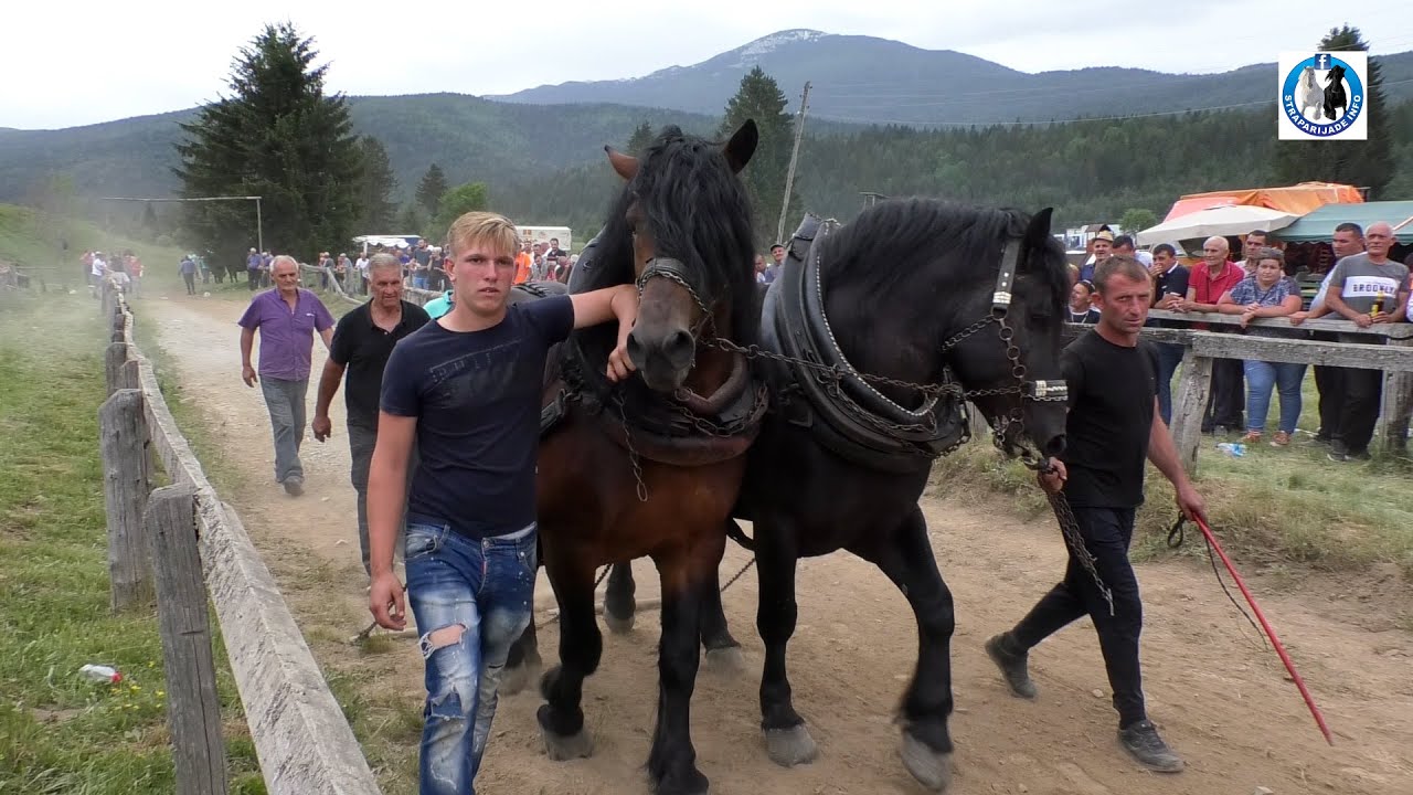 Jasmin BABIĆ u DRINIĆU kačio Sokola i Dorata u srednjim parovima