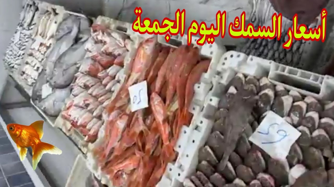 ثمن السمك بالمغرب🐠🦐اليوم الجمعة 13 مارس 2026#المغرب🇲🇦#سوق_المغربPoisson de qualité à prix abordable