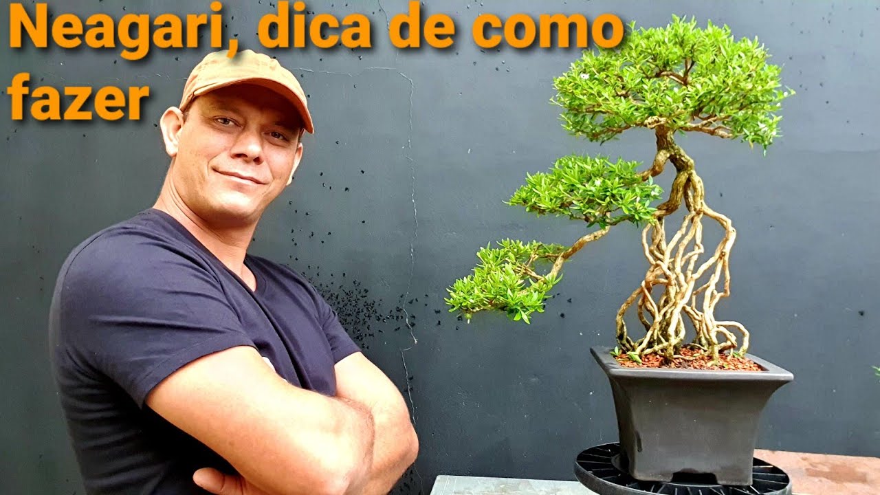 Estilo Neagari - dica de como fazer