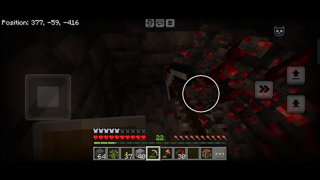 PLAYING Minecraft Day 19