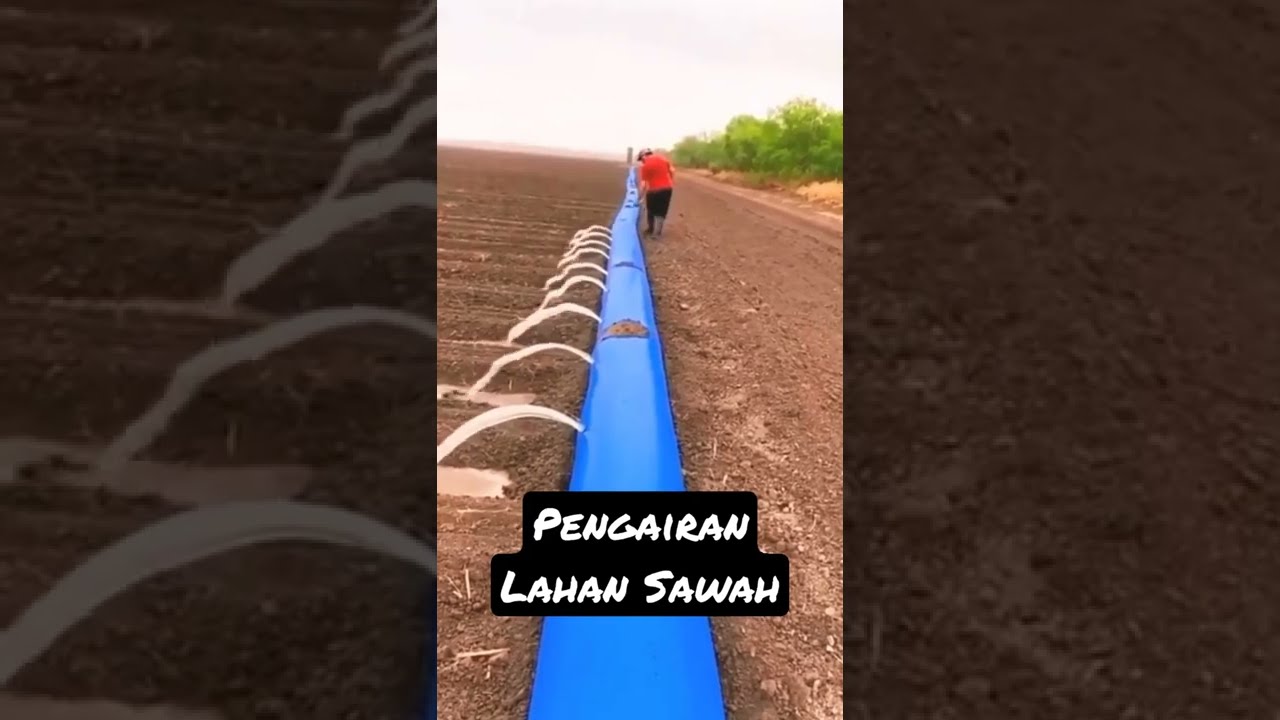 Kreatif Ide Pengairan Sawah ! #shorts #feedshorts #pengairan #pengairansawah #sederhana #shorts_fund