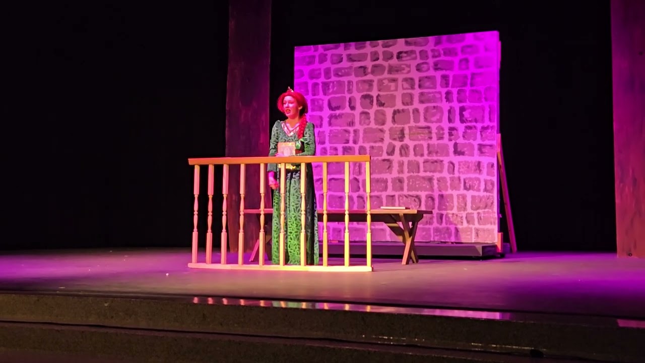 AMS Shrek Musical "I know it’s today"