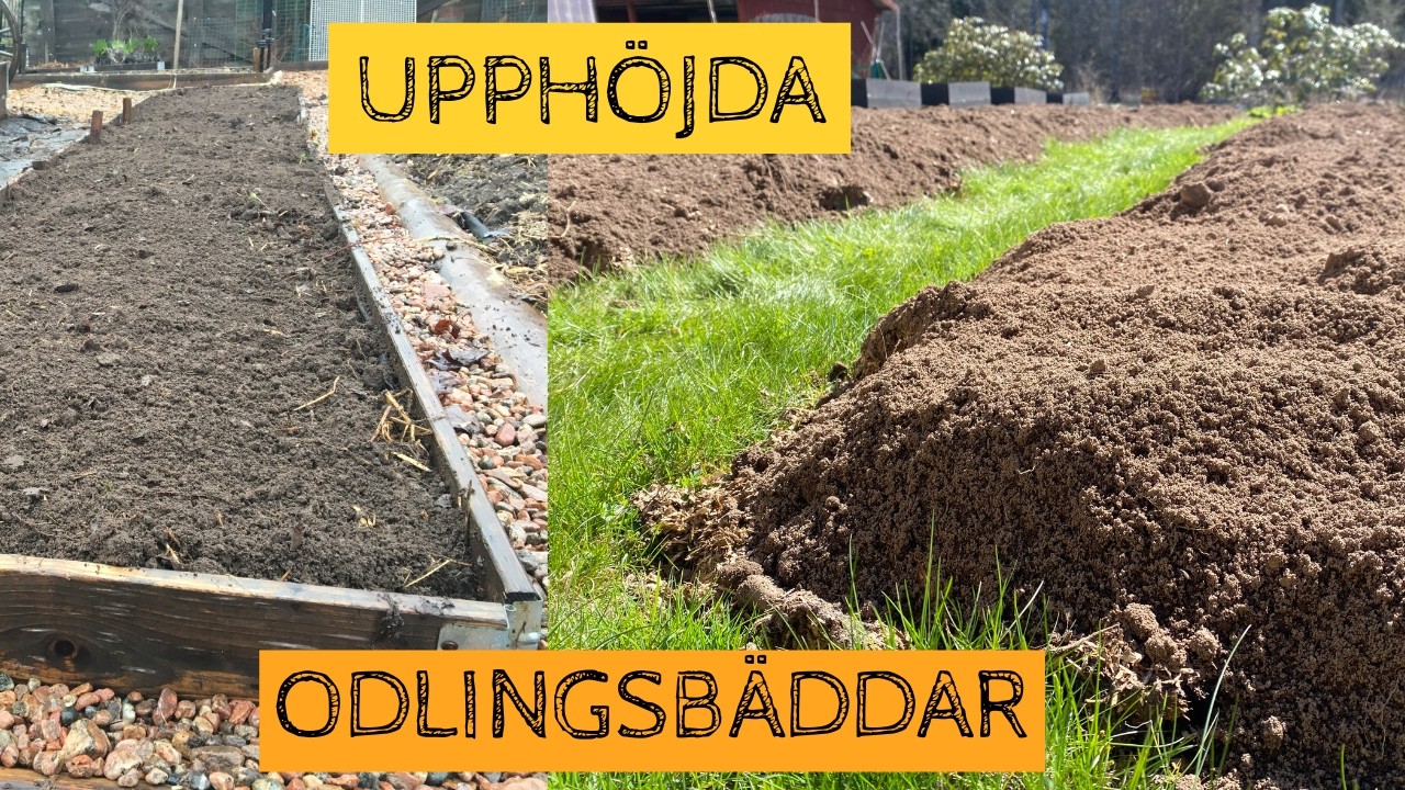 Upphöjda odlingsbäddar - odlingslådor, pallkragar och andra typer av upphöjda bäddar