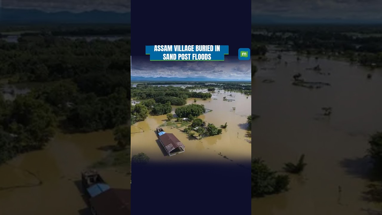 Assam Floods: Nepalikhuti Buried Under Sand as Survivors Struggle to Rebuild Lives
