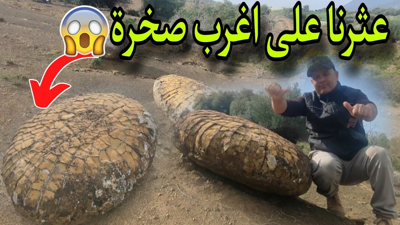 العثور على  أغرب صخرة بجبال مناصر ولاية تيبازة 😱😱😱😱😱