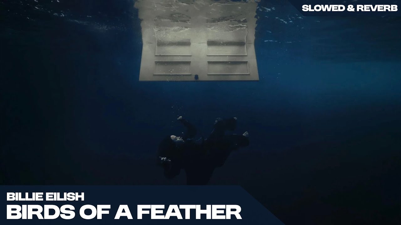 BILLIE EILISH - BIRDS OF A FEATHER  ( s l o w e d   +   r e v e r b )